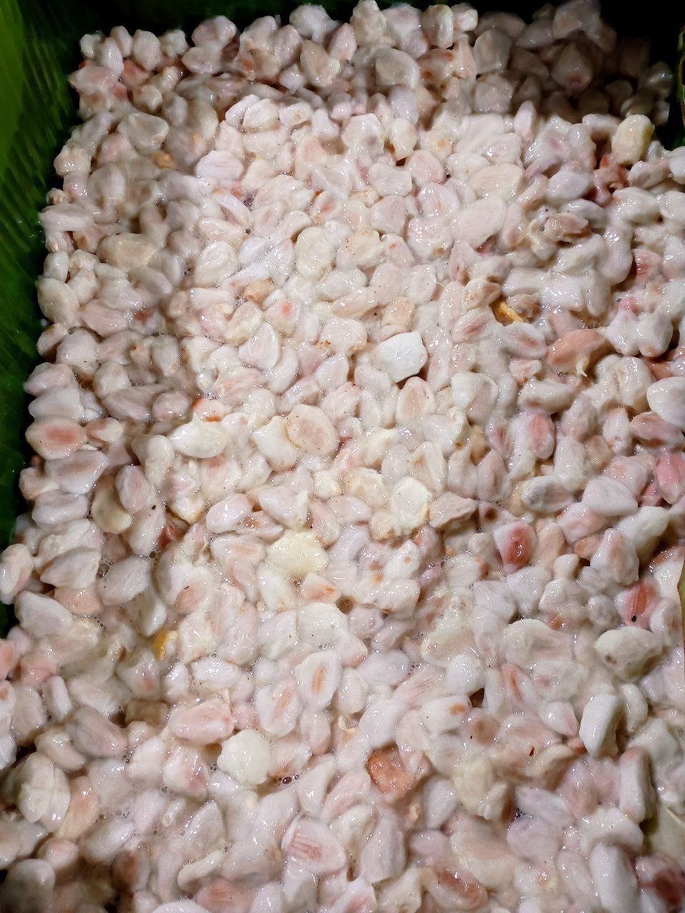 Cacao venezolano 3
